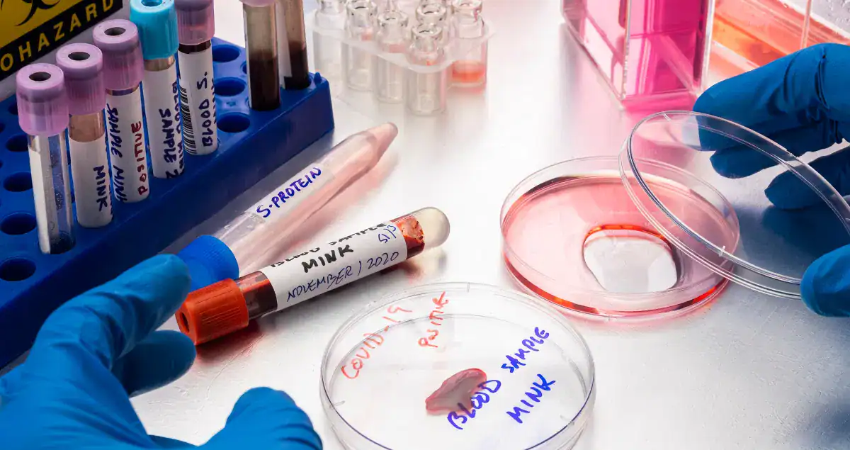 Common Sections of a Pathology Report