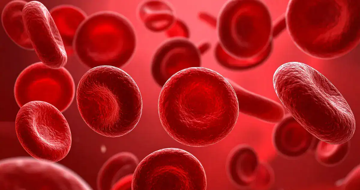 The Role of the Pathologist in Second Opinions