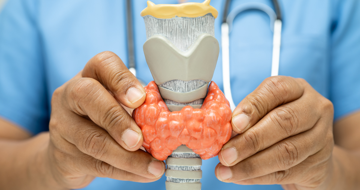 How do I read a thyroid pathology report