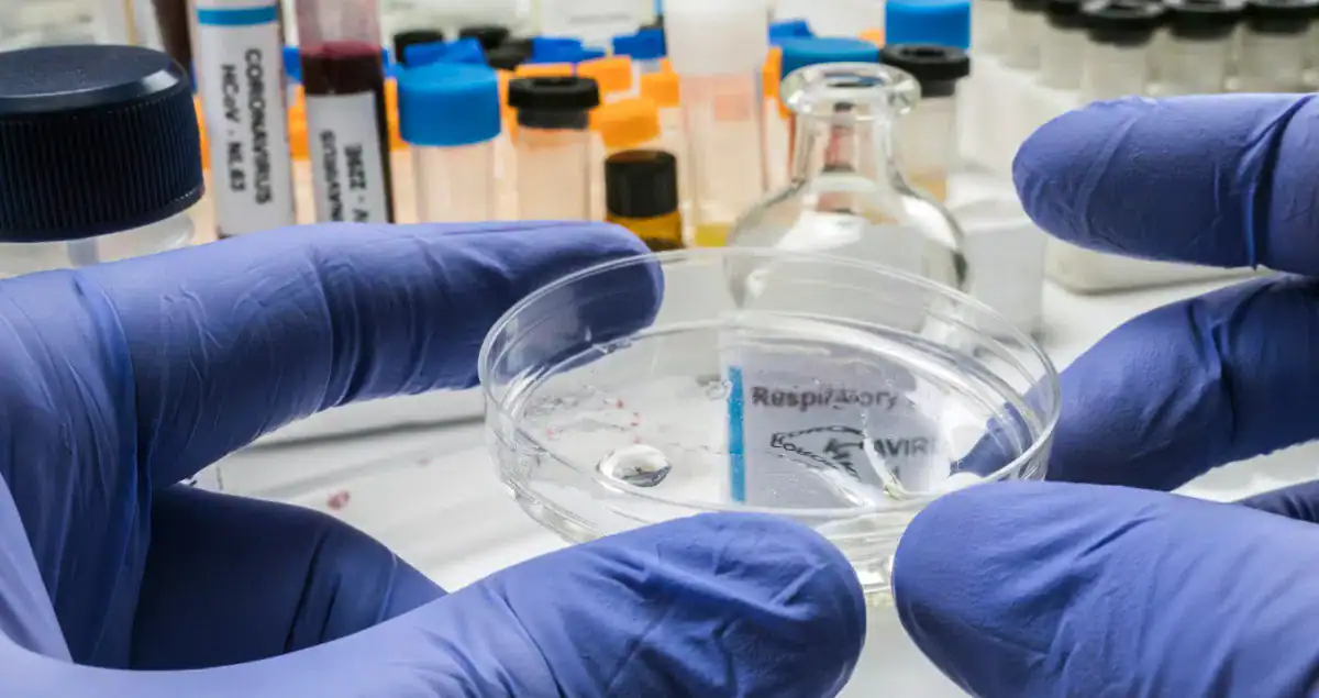 Common Components of a Blood Pathology Report
