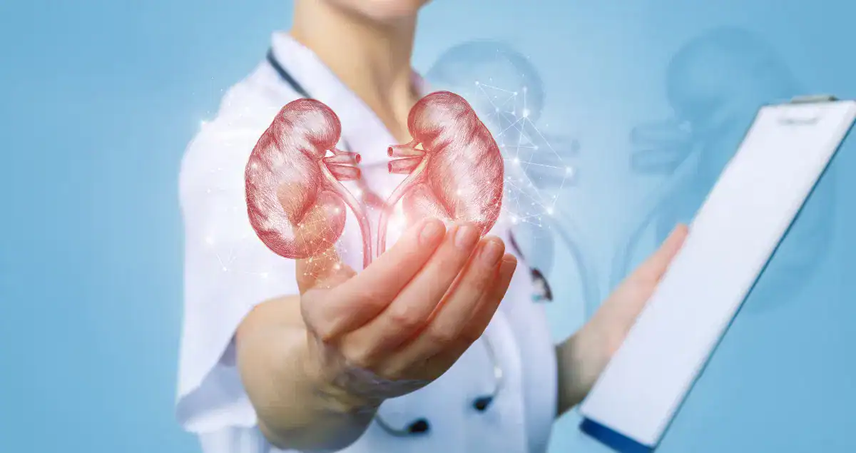 How Kidney Disease Is Diagnosed: A Complete Guide