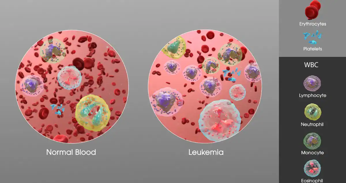 What does clonal population mean?