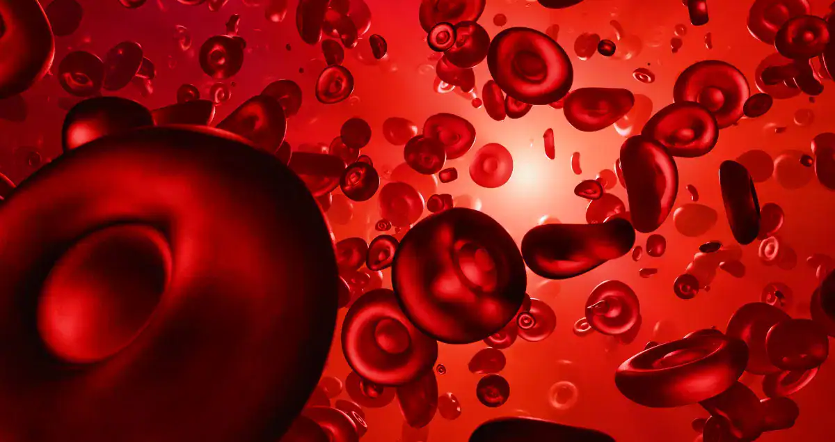What does flow cytometry show in Leukemia and Lymphoma?