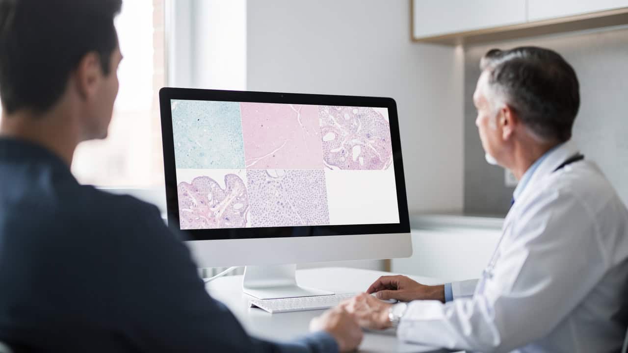 Medical records prepared for a second opinion using Digital pathology slides.